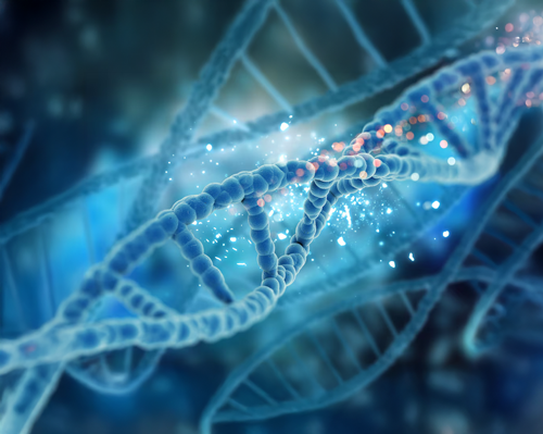 Les acteurs de la CSTI